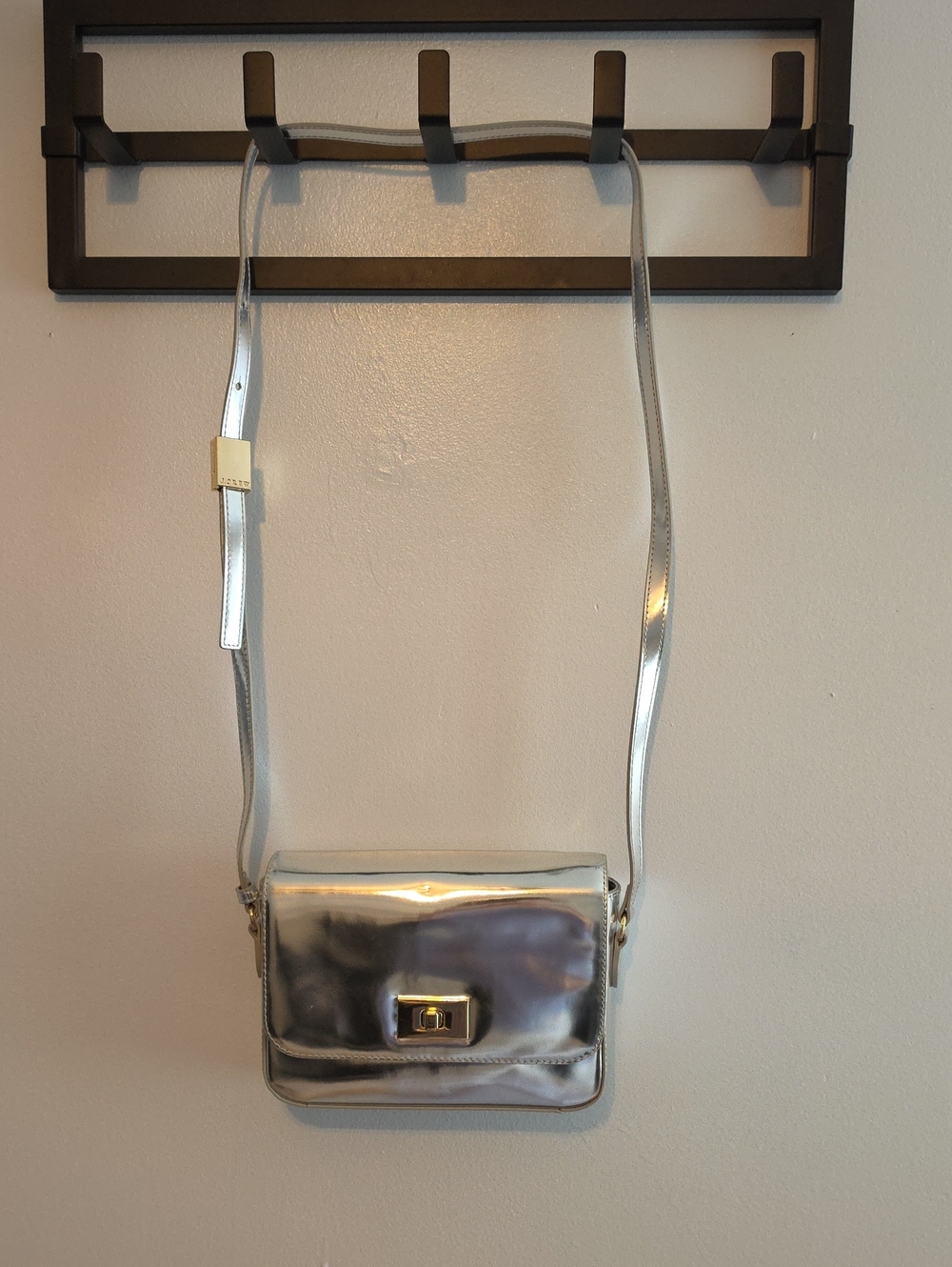 J. Crew Edie Crossbody Bag Italian Leather Silver Purse